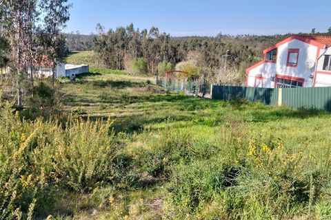 Helårsgrund i Aveiro, Aveiro, Aveiro - € 29.500 | Ref: C0385-00861 - foto 11