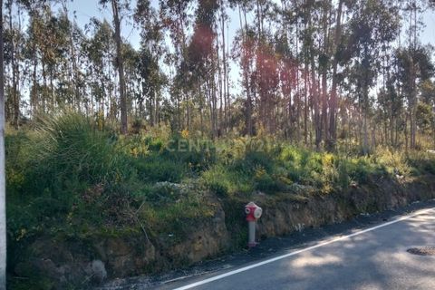 Helårsgrund i Aveiro, Aveiro, Aveiro - € 29.500 | Ref: C0385-00861 - foto 9