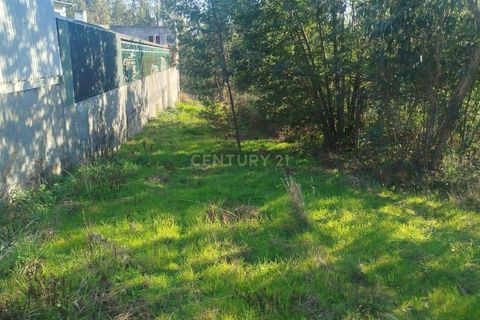 Helårsgrund i Aveiro, Aveiro, Aveiro - € 29.500 | Ref: C0385-00861 - foto 5