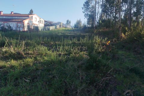 Helårsgrund i Aveiro, Aveiro, Aveiro - € 29.500 | Ref: C0385-00861 - foto 2