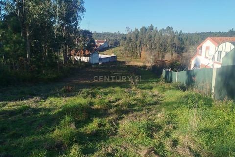 Helårsgrund i Aveiro, Aveiro, Aveiro - € 29.500 | Ref: C0385-00861 - foto 3