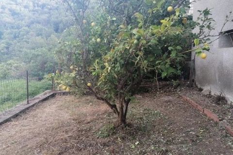 Landejendom i Sorio, Haute-Corse, Sorio - € 165.000 | Ref: 85735312 - foto 12