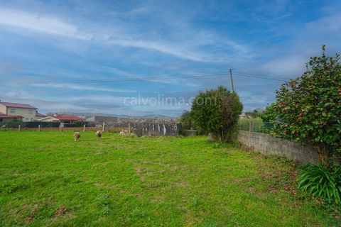 Terra a Ganfei, Viana do Castelo, Ganfei - € 55.000 | Ref: 4251 - foto 2