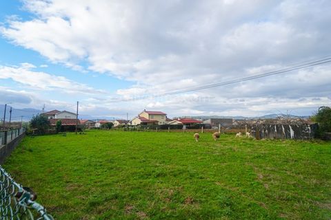 Terra a Ganfei, Viana do Castelo, Ganfei - € 55.000 | Ref: 4251 - foto 3