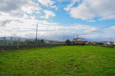 Terra a Ganfei, Viana do Castelo, Ganfei - € 55.000 | Ref: 4251 - foto 4