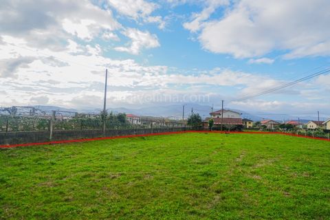 Terra a Ganfei, Viana do Castelo, Ganfei - € 55.000 | Ref: 4251 - foto 5