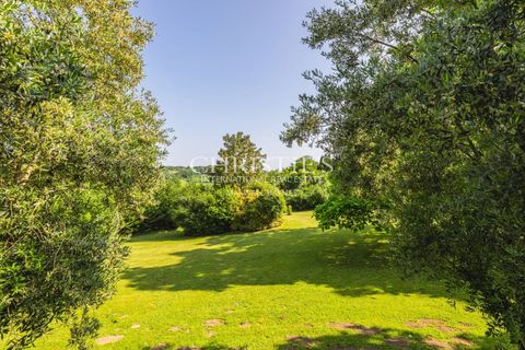 Landejendom i Blasimon, Gironde, Blasimon - € 1.260.000 | Ref: AM1029 - foto 16