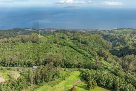 Helårsgrund i Machico, Madeira, Machico - € 400.000 | Ref: KWPT-012744 - foto 4