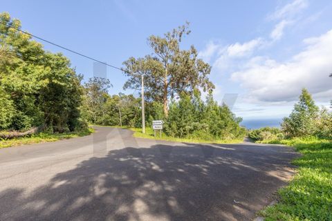 Helårsgrund i Machico, Madeira, Machico - € 400.000 | Ref: KWPT-012744 - foto 6