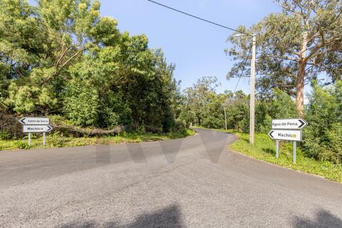 Helårsgrund i Machico, Madeira, Machico - € 400.000 | Ref: KWPT-012744 - foto 7