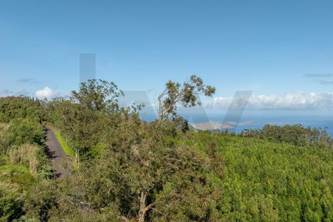 Helårsgrund i Machico, Madeira, Machico - € 400.000 | Ref: KWPT-012744 - foto 8