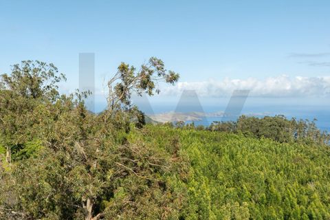 Helårsgrund i Machico, Madeira, Machico - € 400.000 | Ref: KWPT-012744 - foto 9