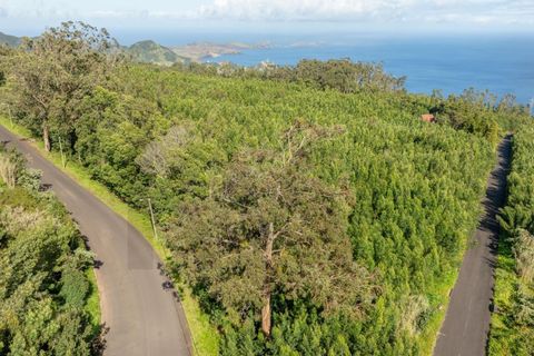 Helårsgrund i Machico, Madeira, Machico - € 400.000 | Ref: KWPT-012744 - foto 10