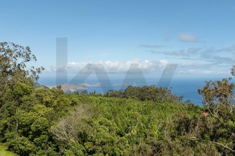 Helårsgrund i Machico, Madeira, Machico - € 400.000 | Ref: KWPT-012744 - foto 15