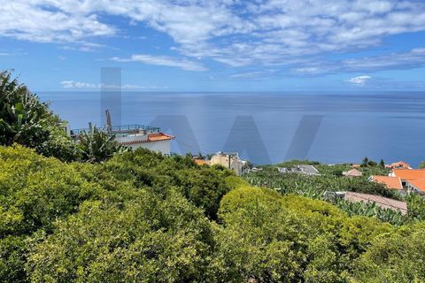 Helårsgrund i Ponta do Sol, Madeira, Ponta do Sol - € 260.000 | Ref: KWPT-013691 - foto 17