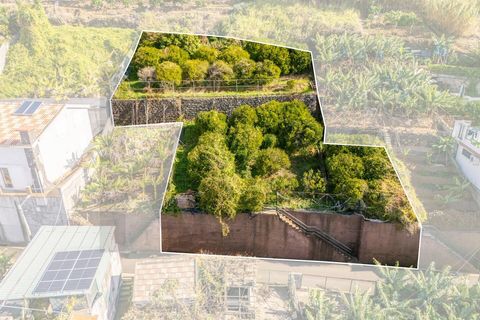 Helårsgrund i Ponta do Sol, Madeira, Ponta do Sol - € 260.000 | Ref: KWPT-013691 - foto 2