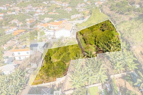 Helårsgrund i Ponta do Sol, Madeira, Ponta do Sol - € 260.000 | Ref: KWPT-013691 - foto 3