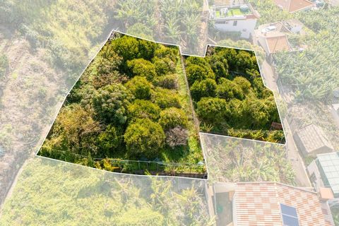 Helårsgrund i Ponta do Sol, Madeira, Ponta do Sol - € 260.000 | Ref: KWPT-013691 - foto 4