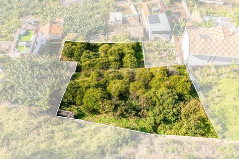 Helårsgrund i Ponta do Sol, Madeira, Ponta do Sol - € 260.000 | Ref: KWPT-013691 - foto 5