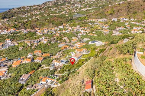 Helårsgrund i Ponta do Sol, Madeira, Ponta do Sol - € 260.000 | Ref: KWPT-013691 - foto 10