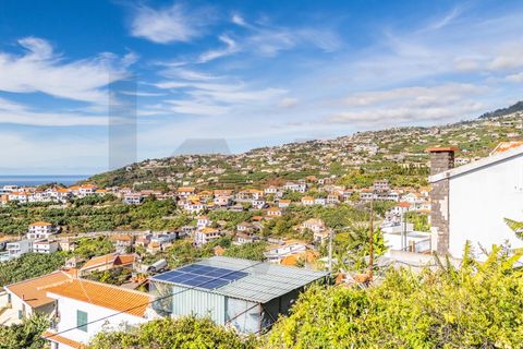 Helårsgrund i Ponta do Sol, Madeira, Ponta do Sol - € 260.000 | Ref: KWPT-013691 - foto 11