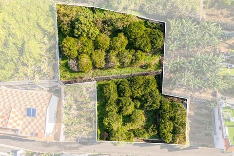 Helårsgrund i Ponta do Sol, Madeira, Ponta do Sol - € 260.000 | Ref: KWPT-013691 - foto 12