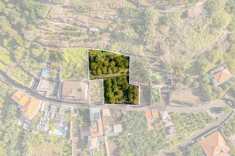 Helårsgrund i Ponta do Sol, Madeira, Ponta do Sol - € 260.000 | Ref: KWPT-013691 - foto 13