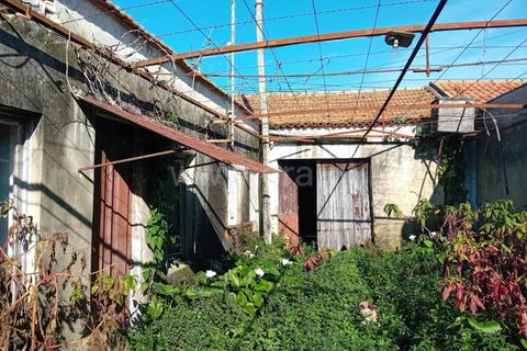 Villa i Aveiro, Aveiro, Aveiro - € 135.000 | Ref: 408250064 - foto 7