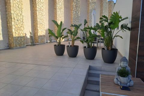Villa in Ciudad Quesada, Alicante, Ciudad Quesada - € 685.000 | Ref: R-63386 - foto 49
