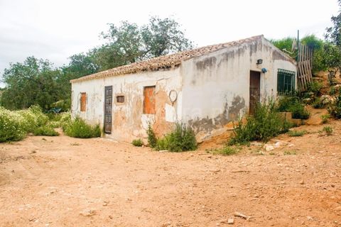 Helårsgrund i Lagoa, Faro, Lagoa - € 462.000 | Ref: 402250025 - foto 3