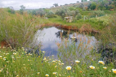 Helårsgrund i Lagoa, Faro, Lagoa - € 462.000 | Ref: 402250025 - foto 5