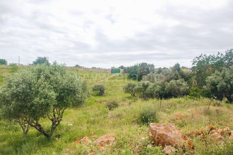 Helårsgrund i Lagoa, Faro, Lagoa - € 462.000 | Ref: 402250025 - foto 6