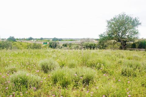Helårsgrund i Lagoa, Faro, Lagoa - € 462.000 | Ref: 402250025 - foto 7