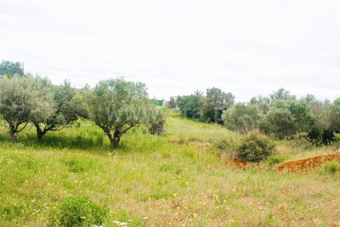 Helårsgrund i Lagoa, Faro, Lagoa - € 462.000 | Ref: 402250025 - foto 8