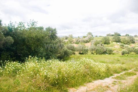Helårsgrund i Lagoa, Faro, Lagoa - € 462.000 | Ref: 402250025 - foto 9