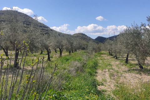 Helårsgrund i Sorbas, Almeria, Sorbas - € 29.900 | Ref: 3243-05255 - foto 1