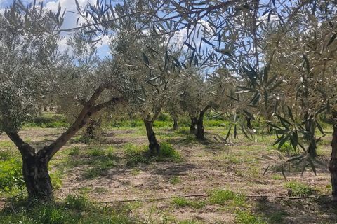 Helårsgrund i Sorbas, Almeria, Sorbas - € 29.900 | Ref: 3243-05255 - foto 6