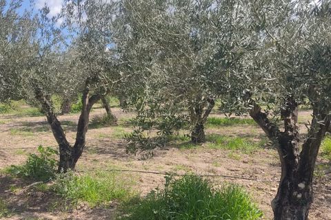 Helårsgrund i Sorbas, Almeria, Sorbas - € 29.900 | Ref: 3243-05255 - foto 7