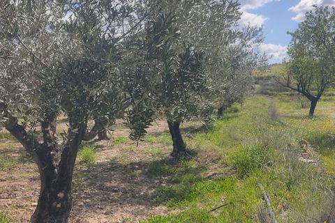 Helårsgrund i Sorbas, Almeria, Sorbas - € 29.900 | Ref: 3243-05255 - foto 8