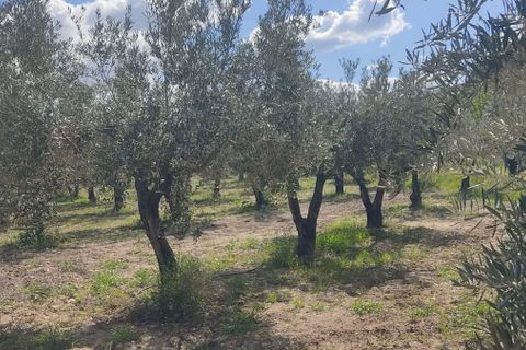 Helårsgrund i Sorbas, Almeria, Sorbas - € 29.900 | Ref: 3243-05255 - foto 9