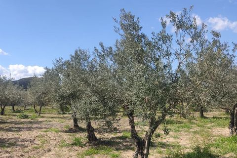 Helårsgrund i Sorbas, Almeria, Sorbas - € 29.900 | Ref: 3243-05255 - foto 10