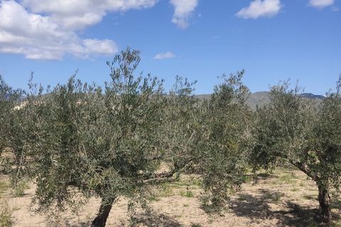 Helårsgrund i Sorbas, Almeria, Sorbas - € 29.900 | Ref: 3243-05255 - foto 11