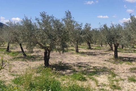 Helårsgrund i Sorbas, Almeria, Sorbas - € 29.900 | Ref: 3243-05255 - foto 12