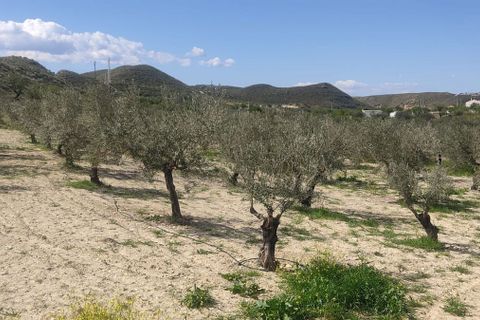 Helårsgrund i Sorbas, Almeria, Sorbas - € 29.900 | Ref: 3243-05255 - foto 14