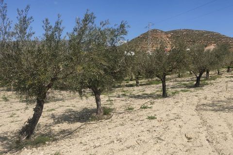 Helårsgrund i Sorbas, Almeria, Sorbas - € 29.900 | Ref: 3243-05255 - foto 15