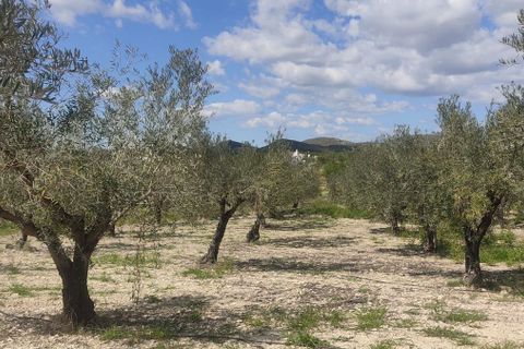 Helårsgrund i Sorbas, Almeria, Sorbas - € 29.900 | Ref: 3243-05255 - foto 16