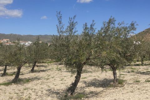 Helårsgrund i Sorbas, Almeria, Sorbas - € 29.900 | Ref: 3243-05255 - foto 17