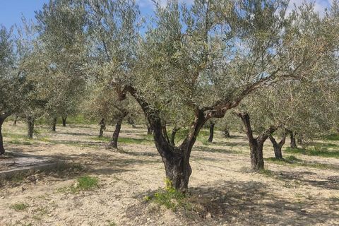 Helårsgrund i Sorbas, Almeria, Sorbas - € 29.900 | Ref: 3243-05255 - foto 18