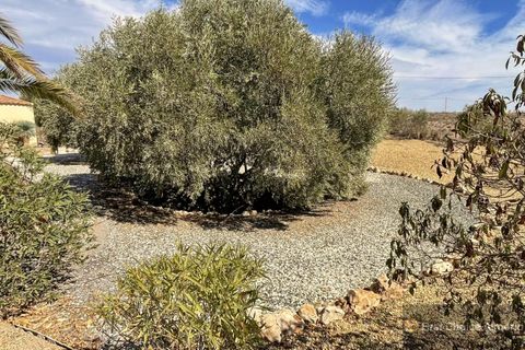 Lejlighed i Albox, Almeria, Albox - € 240.000 | Ref: 923-3273 - foto 33