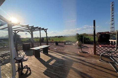 Finca i Dolores, Alicante, Dolores - € 445.000 | Ref: AG19MLSC5904516 - foto 9